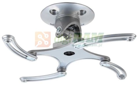 Pro Mount Direct mocowanie podsufitowe