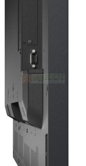Monitor wielkoformatowy P435 43 cale UHD 700cd/m2 24/7