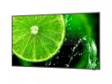 Monitor MultiSync E438 43 cale UHD 350cd/m2 16/7