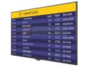 Hisense Display Monitor - Monitor profesjonalny UHD/500nit/7*24 55BM66AE