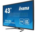 Monitor wielkoformatowy 43 cale X4373UHSU-B1 4K, VA, 2xHDMI, DP, mDP, 3ms, 2x7W, USBx4