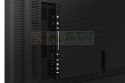 Monitor 50 cali QH50B LH50QHBEBGCXEN