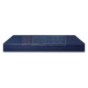 Planet IGS-6325-20T4C4X