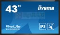 Monitor wielkoformatowy 43 cale T4362AS-B1 20pkt., 24/7, IPS, 500cd, ANDROID 8.0