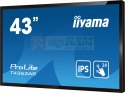 Monitor wielkoformatowy 43 cale T4362AS-B1 20pkt., 24/7, IPS, 500cd, ANDROID 8.0