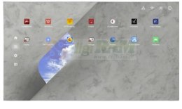 ViewSonic LDP216-251 216