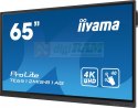 Monitor 65 cali ProLite TE6512MIS-B3 AG,40pkt,IPS,4K,24/7
