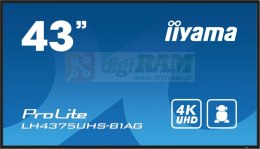 Monitor 42.5 cala ProLite LH4375UHS-B1 G,24/7,IPS,ANDROID 11