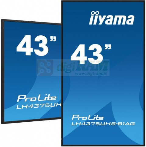 Monitor 42.5 cala ProLite LH4375UHS-B1 G,24/7,IPS,ANDROID 11