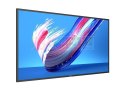 Monitor 65BDL3650Q 65 cali Public Display