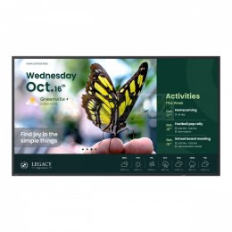 Monitor wielkoformatowy 43 cale ST4304 4K/1200:1/ANDROID