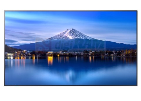 Monitor wielkoformatowy MultiSync P556 55 cali UHD 700cd/m2 24/7