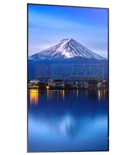 Monitor wielkoformatowy MultiSync P556 55 cali UHD 700cd/m2 24/7