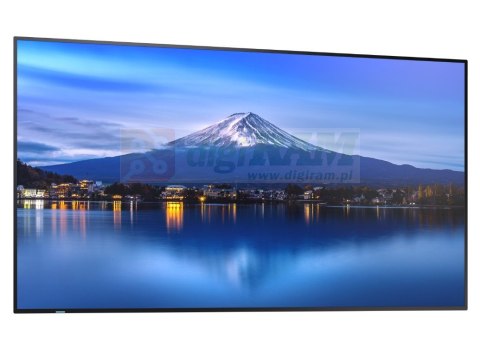 Monitor wielkoformatowy MultiSync P556 55 cali UHD 700cd/m2 24/7