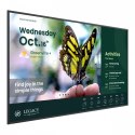 Monitor wielkoformatowy 55 cali ST5504 LED 4K/4500:1/ANDROID