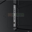 Monitor wielkoformatowy 65 cali ST6504 LED 4K 1200:1/3840x2160/HDMI
