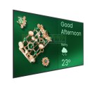 Monitor wielkoformatowy 65 cali ST6504 LED 4K 1200:1/3840x2160/HDMI