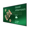 Monitor wielkoformatowy 65 cali ST6504 LED 4K 1200:1/3840x2160/HDMI