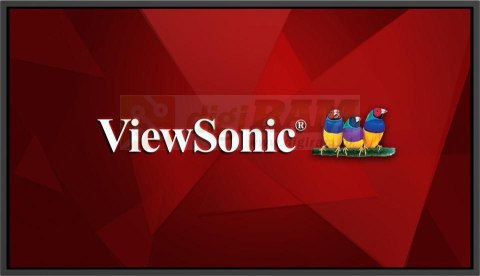 ViewSonic CDE43G3-1C CDE43G3-1C, 43", OS-Free