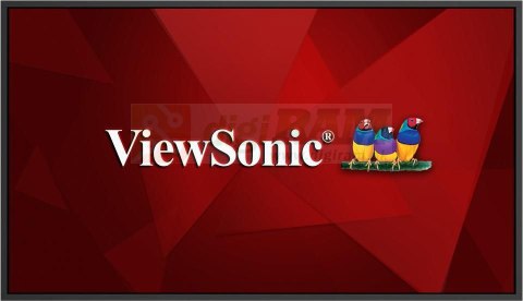 ViewSonic CDE55G3-1C CDE55G3-1C, 55", OS-Free