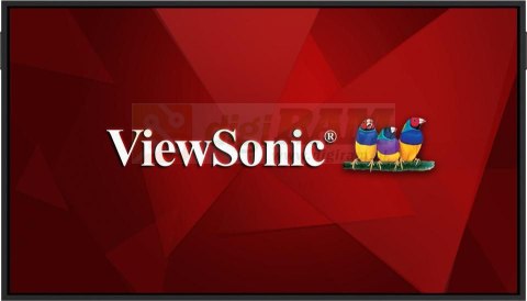 ViewSonic CDE65G3-1C CDE65G3-1C, 65", OS-Free