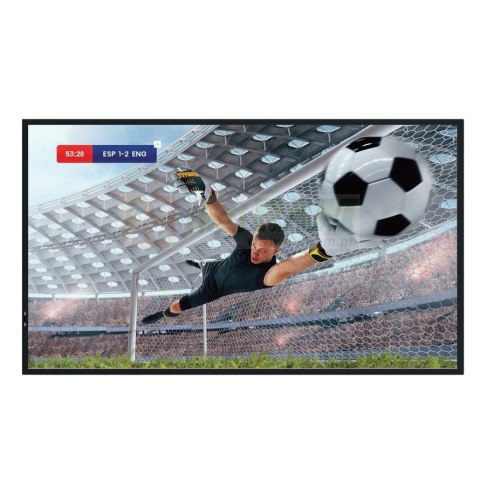 Monitor LFD 43DM66D 43 cale 4K UHD IPS Digital Signage Display 24/7