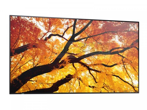 Monitor M652 65 cali 24/7 550cd/m2