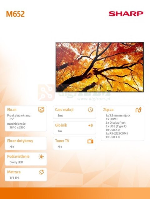 Monitor M652 65 cali 24/7 550cd/m2