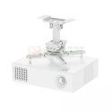 Uchwyt sufitowy do projektora CL25-530WH1 h:25,5 cm biały