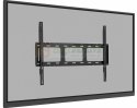 Monitor 65 cali TE6513A-B3AG INFRARED, 40pkt, IPS, 4K, 7H, 500cd/m2, WiFi, USB, ANDROID 14, Google EDLA, 2x20W, uchwyt ścienny