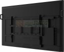 Monitor 75 cali TE7513A-B3AG INFRARED, 40pkt, IPS, 4K, 500cd, 1200:1, WiFi, USB, ANDROID 14, Google EDLA, 2x20W, uchwyt ścienny